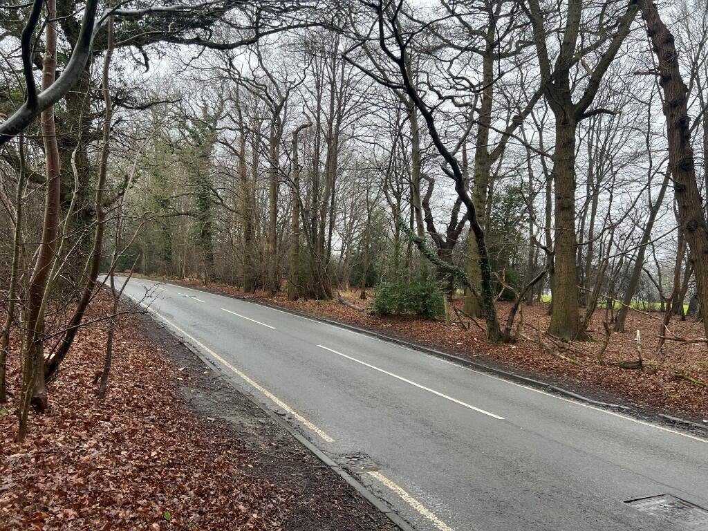 Carbone Hill