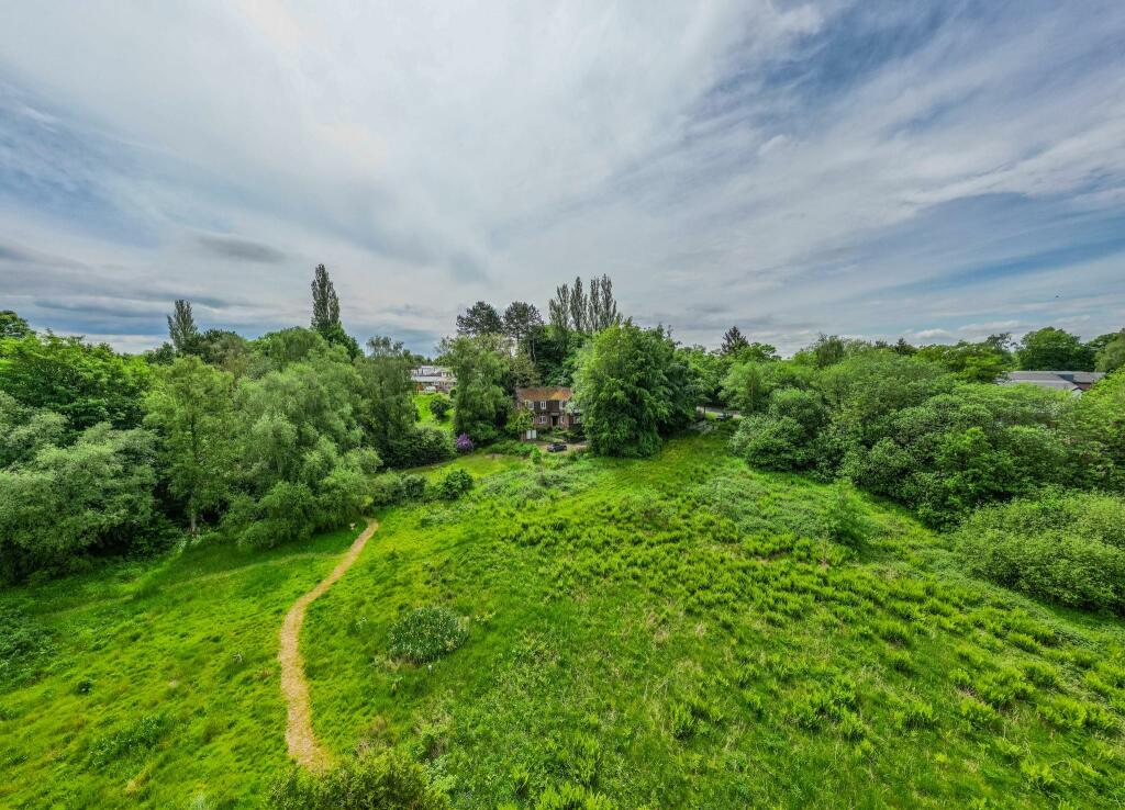 20240521-DJI_0072.jpg