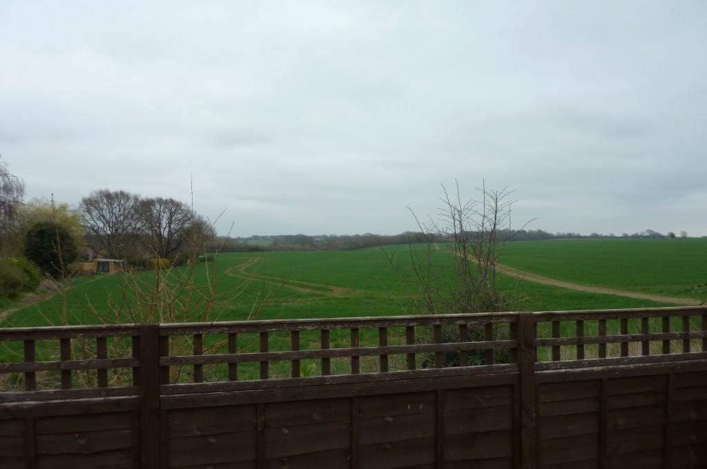Countryside View