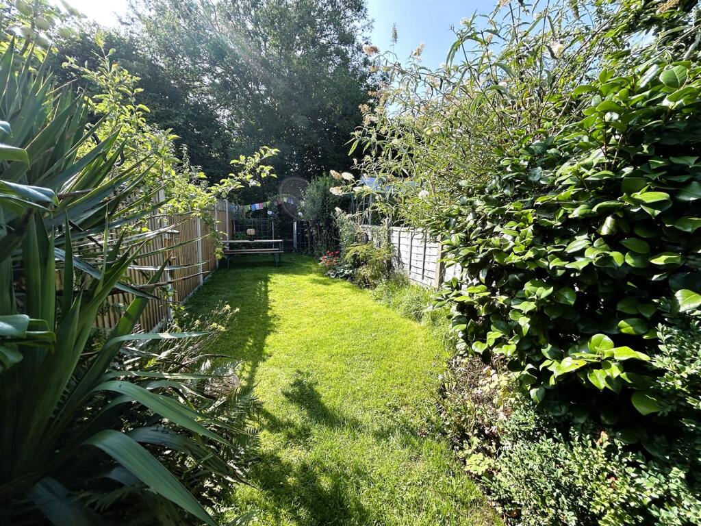 garden.JPG