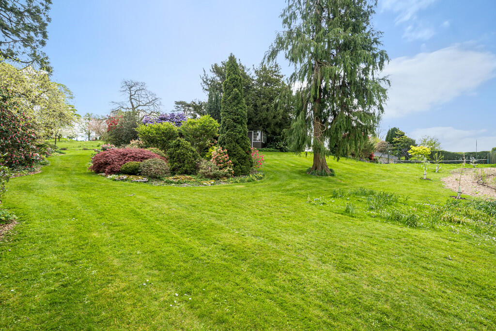 Communal Garden