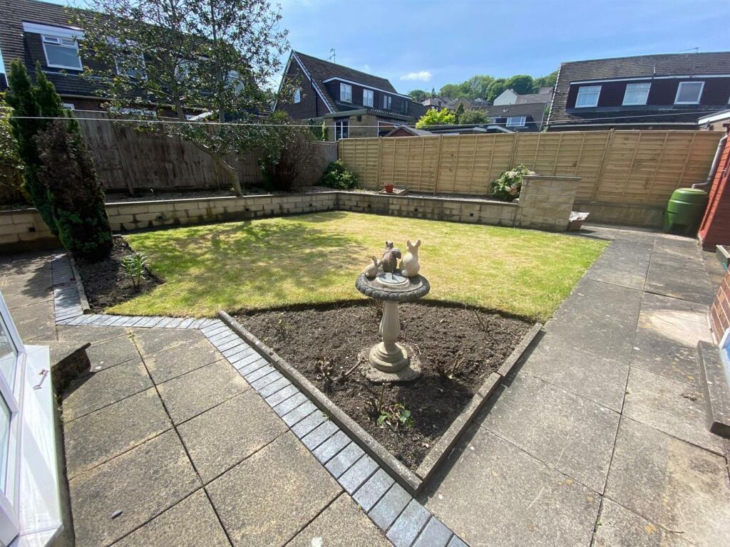 garden 3.jpg