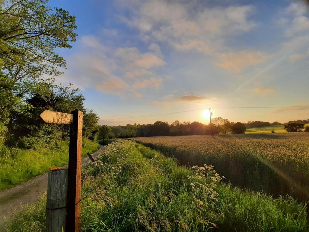 Surrounding Area 5.jpg