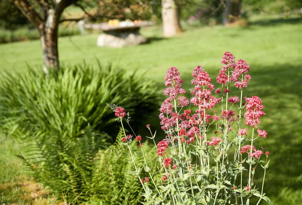 Additional Photograph