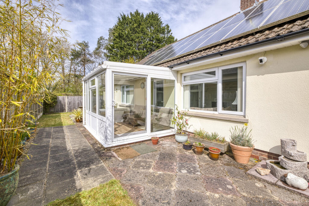 Primrose Corner, Street (April 25 updates)-8