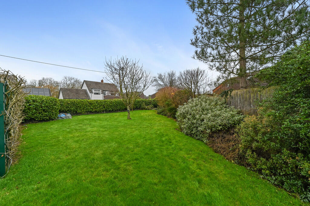 PT-DB(WP)-LaurelL...