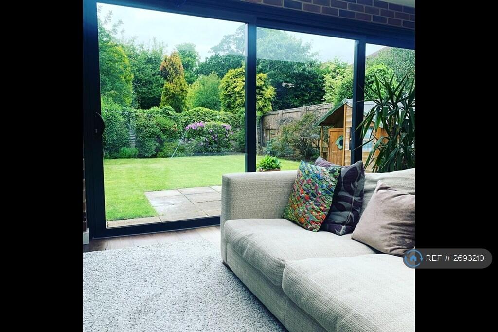 View Out To Garden