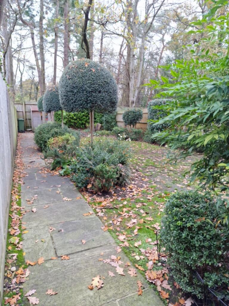 Garden 3