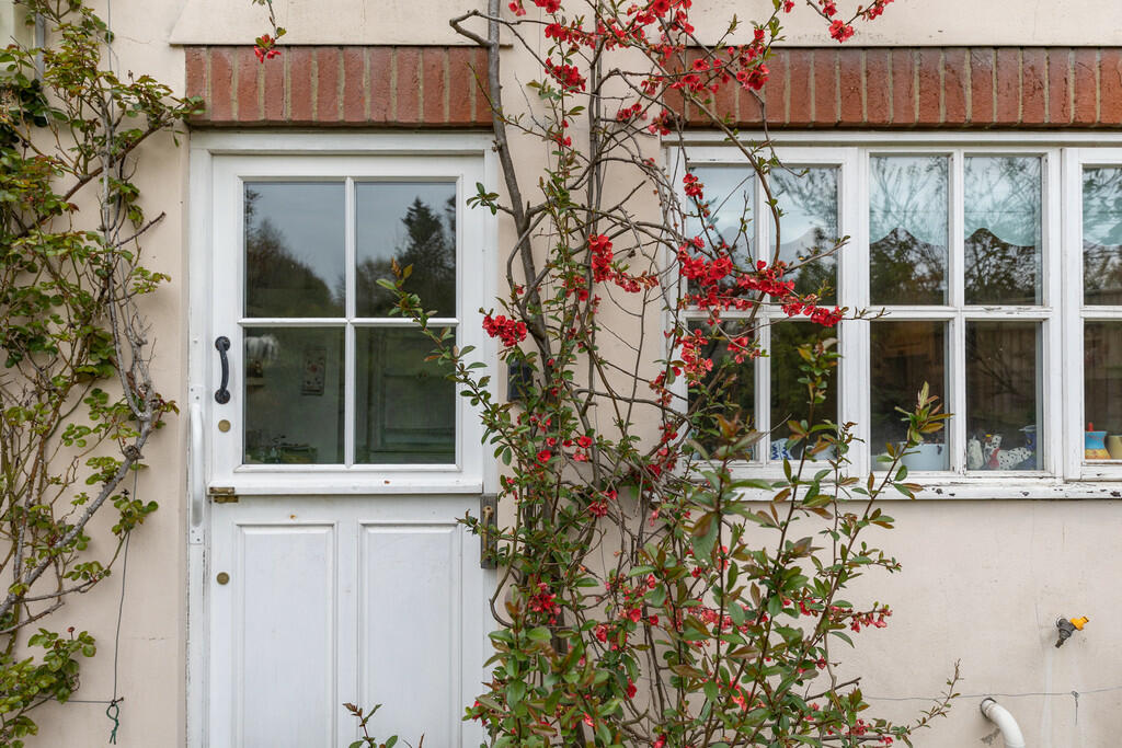 Back door 