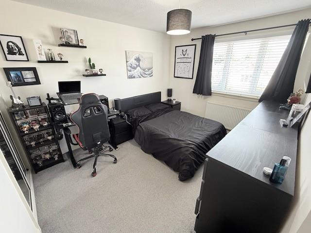 33BR24.jpg