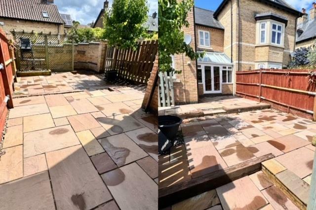 Low Maintenance Garden