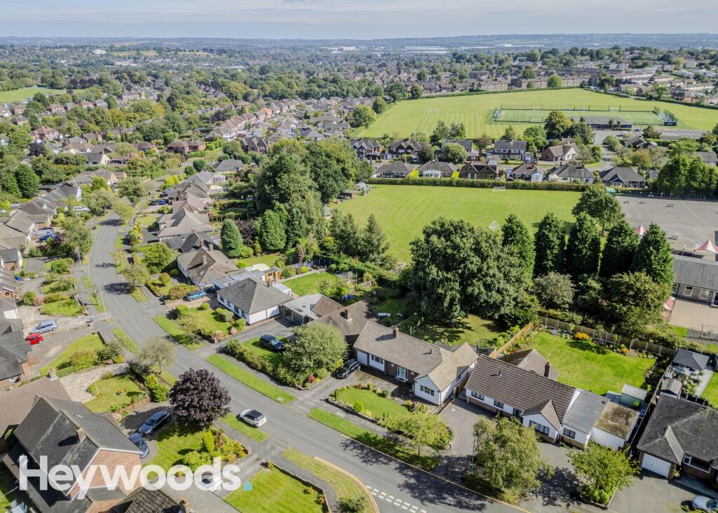 20240903-DJI_0581-Enhanced-SR - Copy