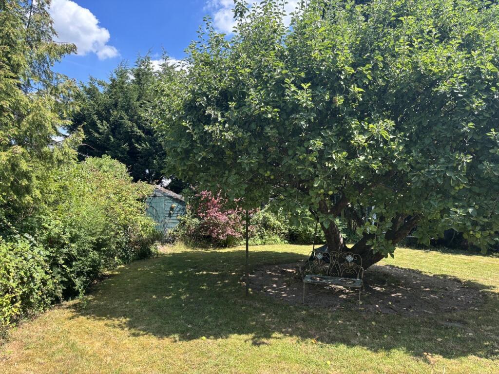 garden