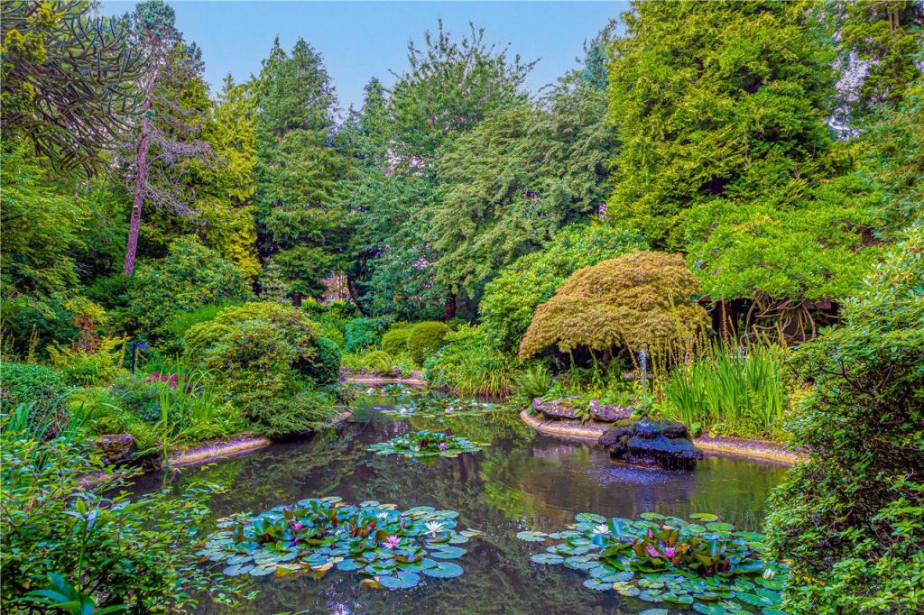 Water Garden