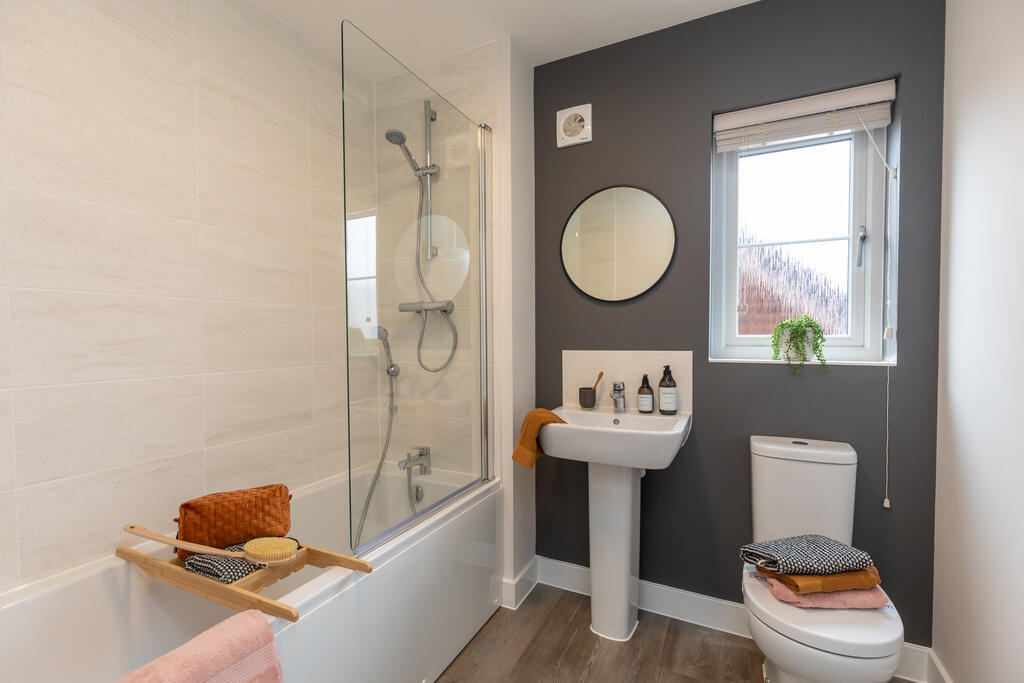 L-VISW-RIP.ripley-TIB-21-010