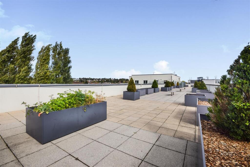 Communal Roof Terrace