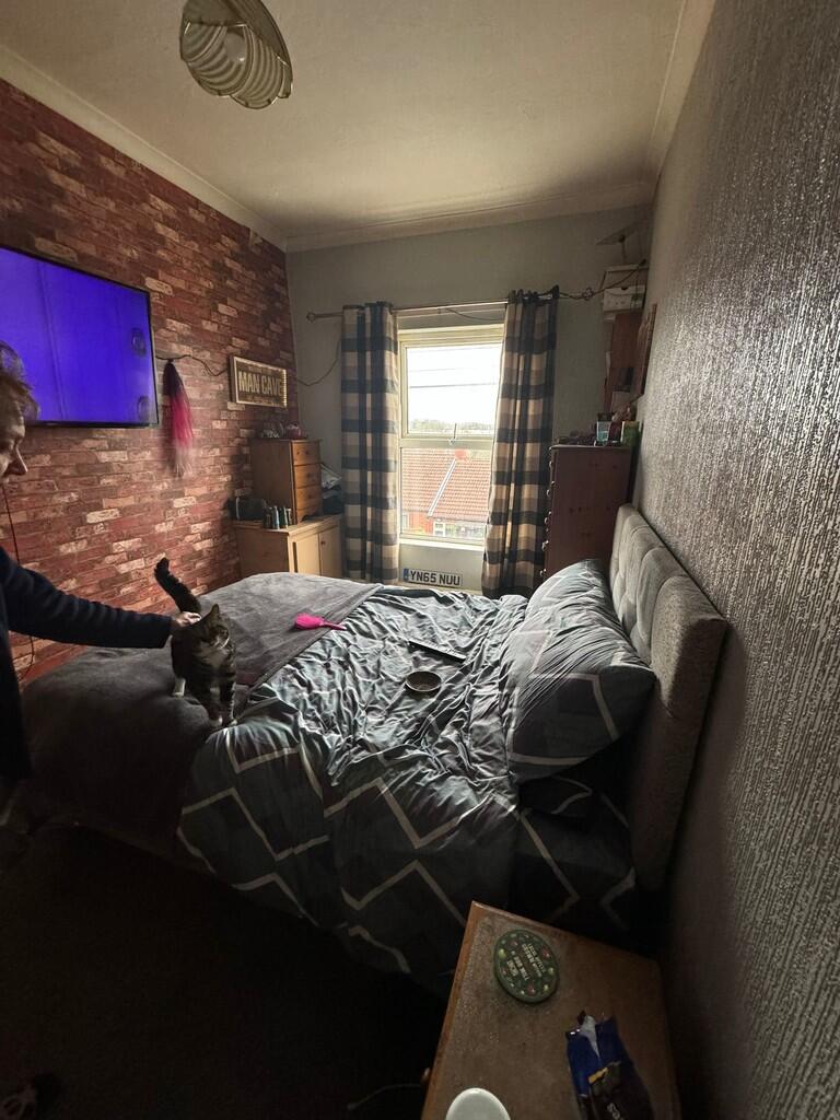 PHOTO-2024-11-16-...