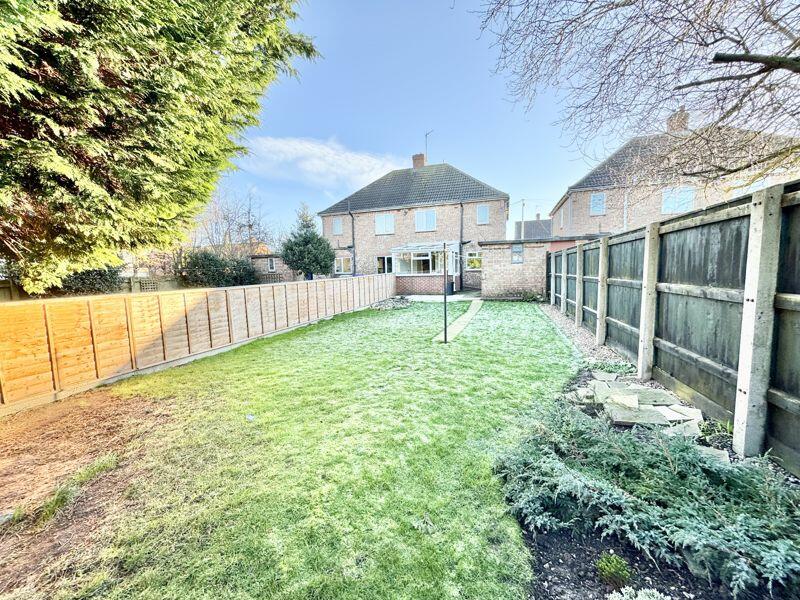 Back garden