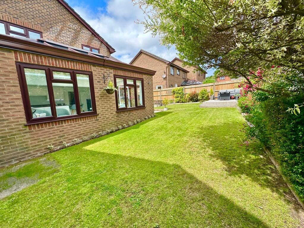 IMG-20250611-WA00...