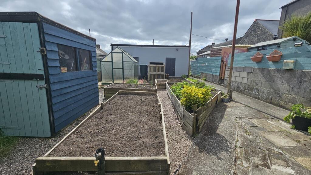 thumbnail_20240523_160132 (1)