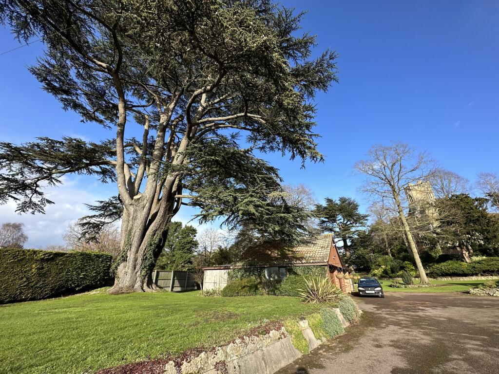 Photo 27-01-2025, 13 11 49