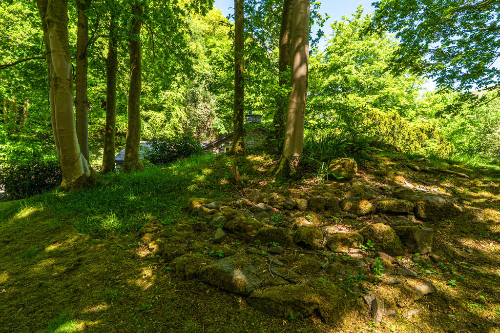 Woodland Garden