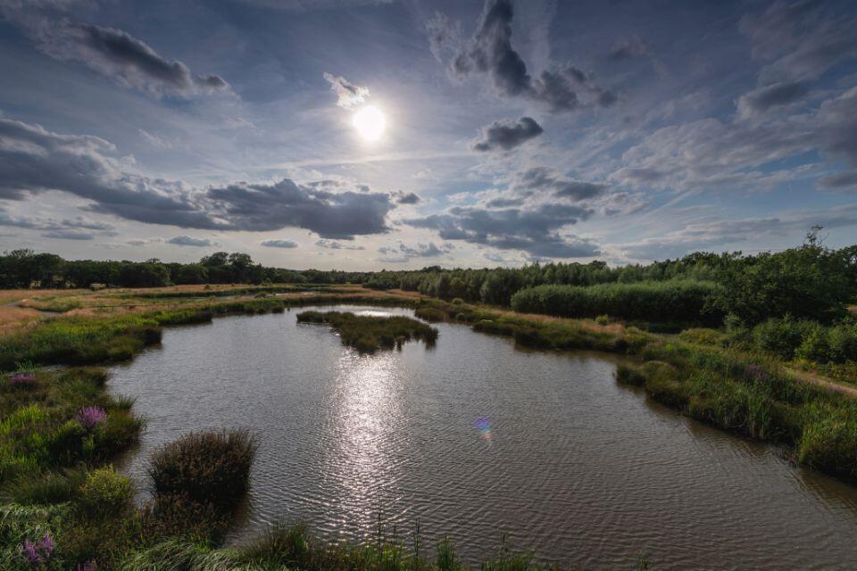 vb1521776_27652_eden