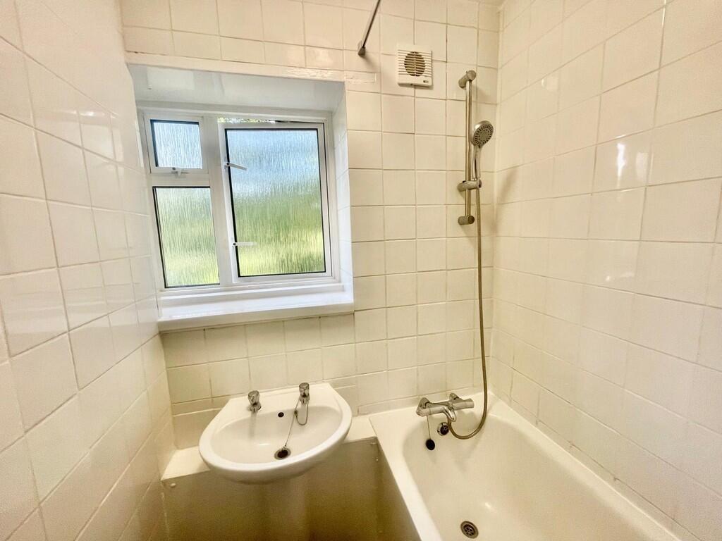 WhatsApp Image 20...