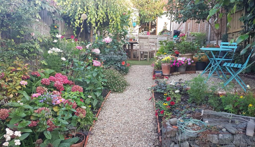 garden.jpg