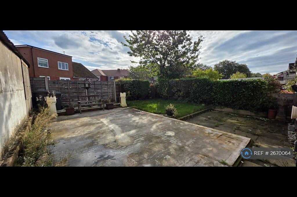Back Garden
