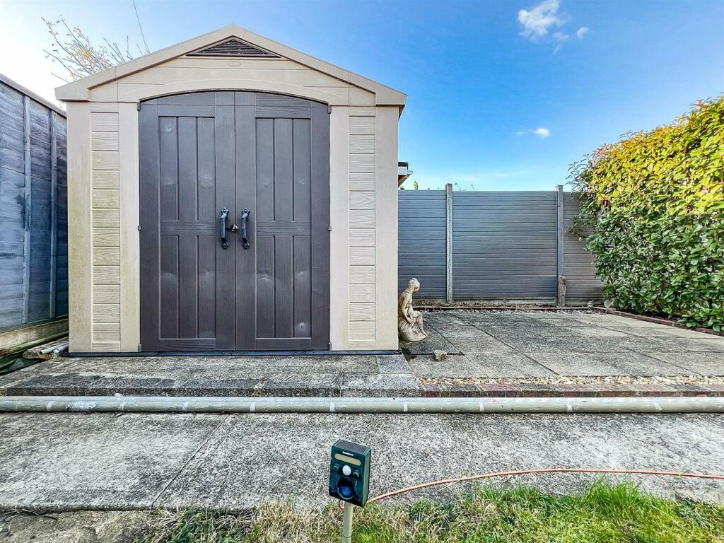 PHOTO-2024-11-12-06-59-50 3.JPG