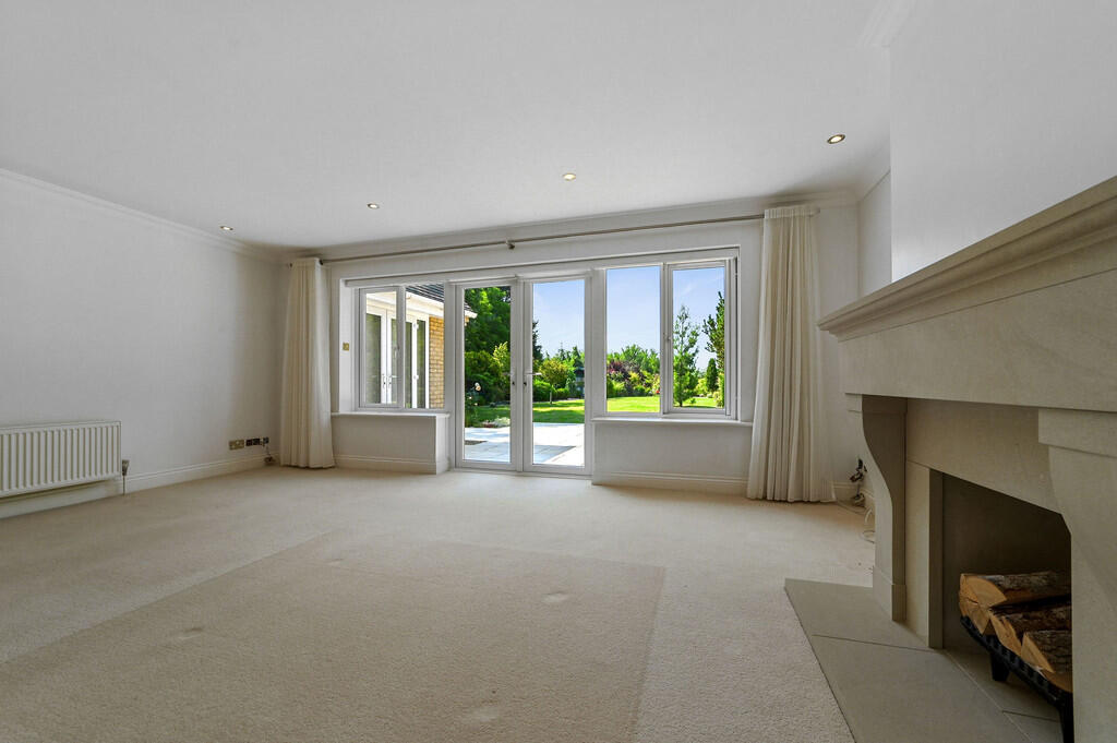 PT-DB(WP)-Brindle...