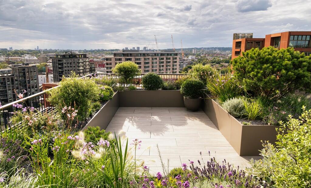 Roof Terrace