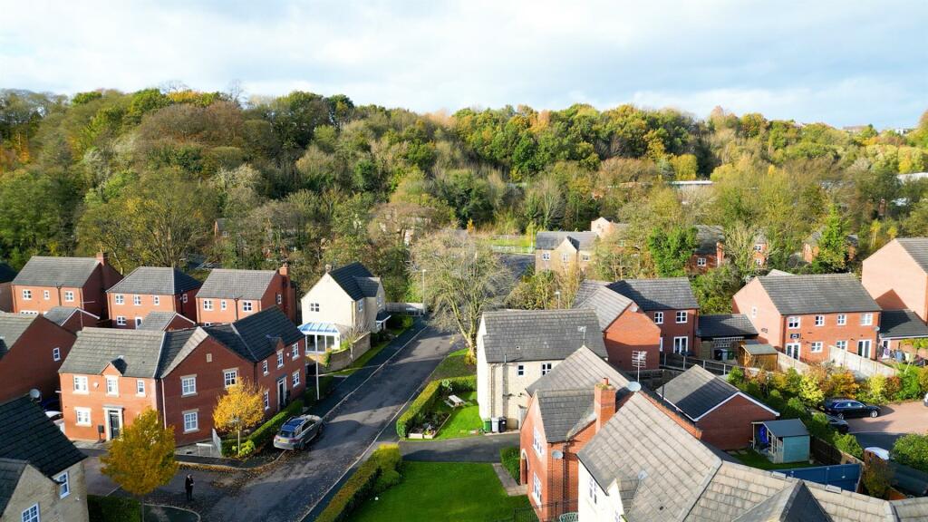 DJI_0099.00_19_59_16.Still029.jpg