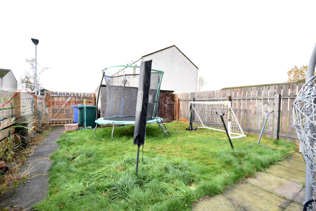garden .JPG