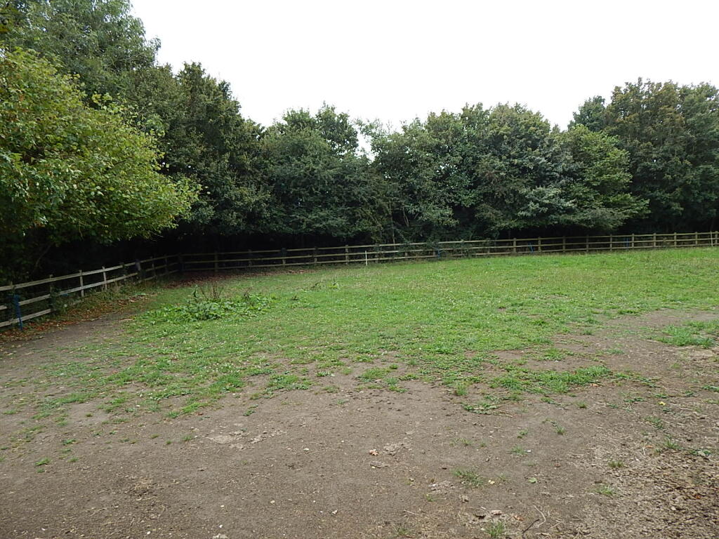 4 T202409301149.jpg