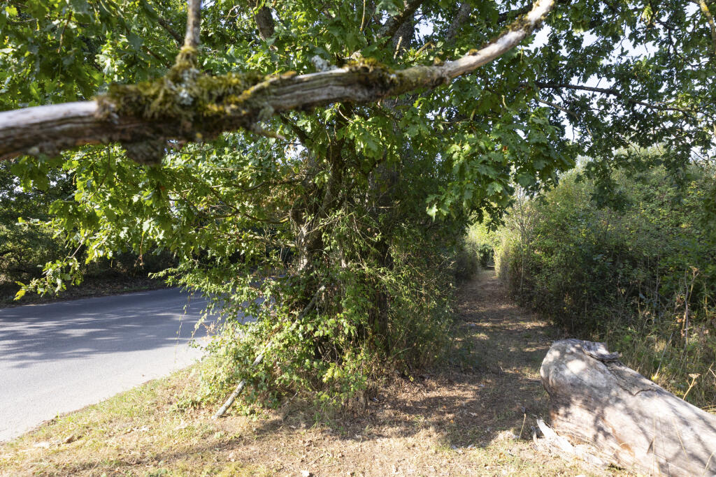 Bunny Lane, Romsey,  SO51 0PG NB19