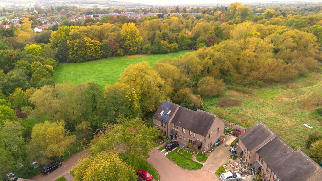 Ariel View