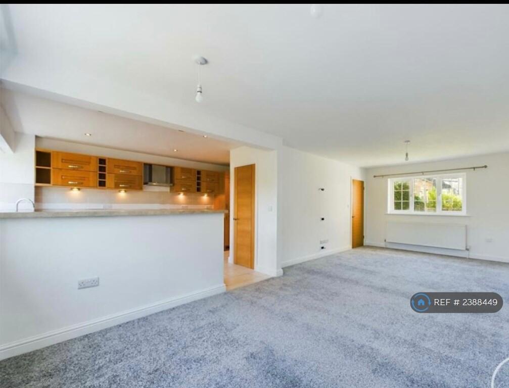 Lounge / Kitchen / Diner