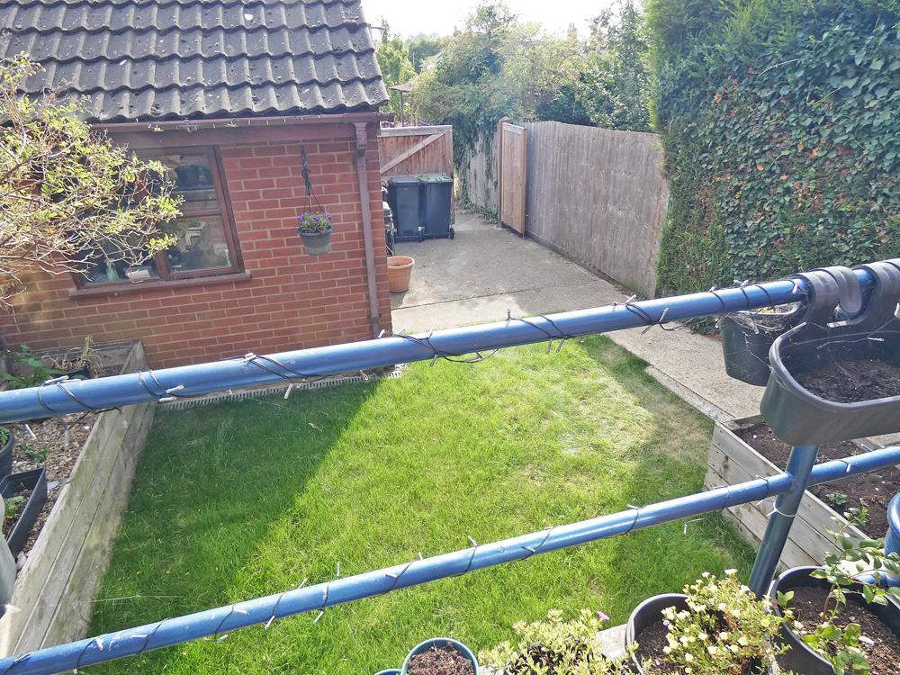 2293gdn.jpg