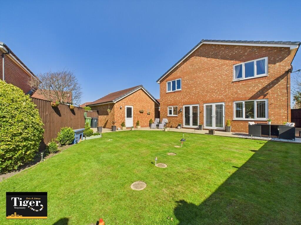 CAM02176G0-PR0538...