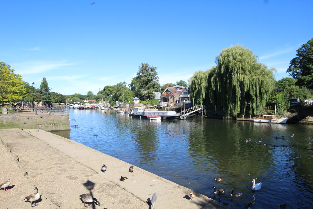 6 RIVER.JPG