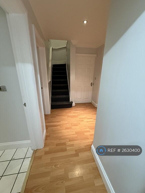 Downstairs Hallway 