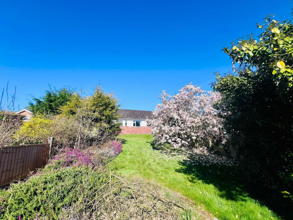 GARDEN (3).jpeg