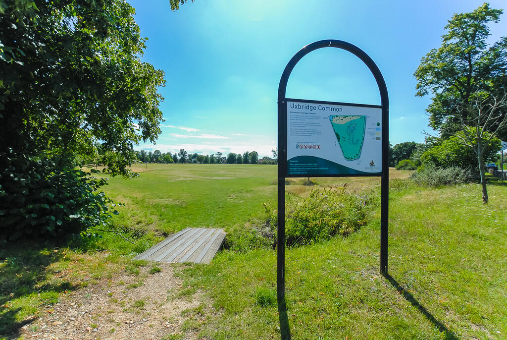 ANDREWS VARIOUS W...