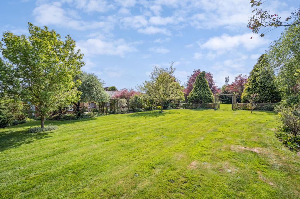 Garden (6)