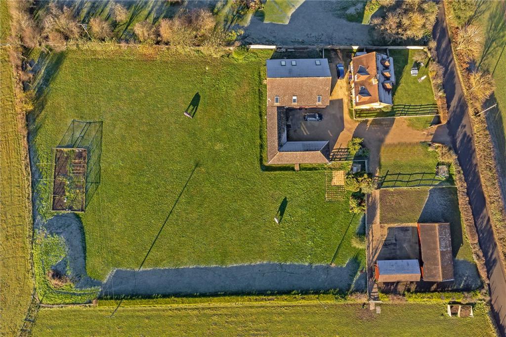 Birdseye