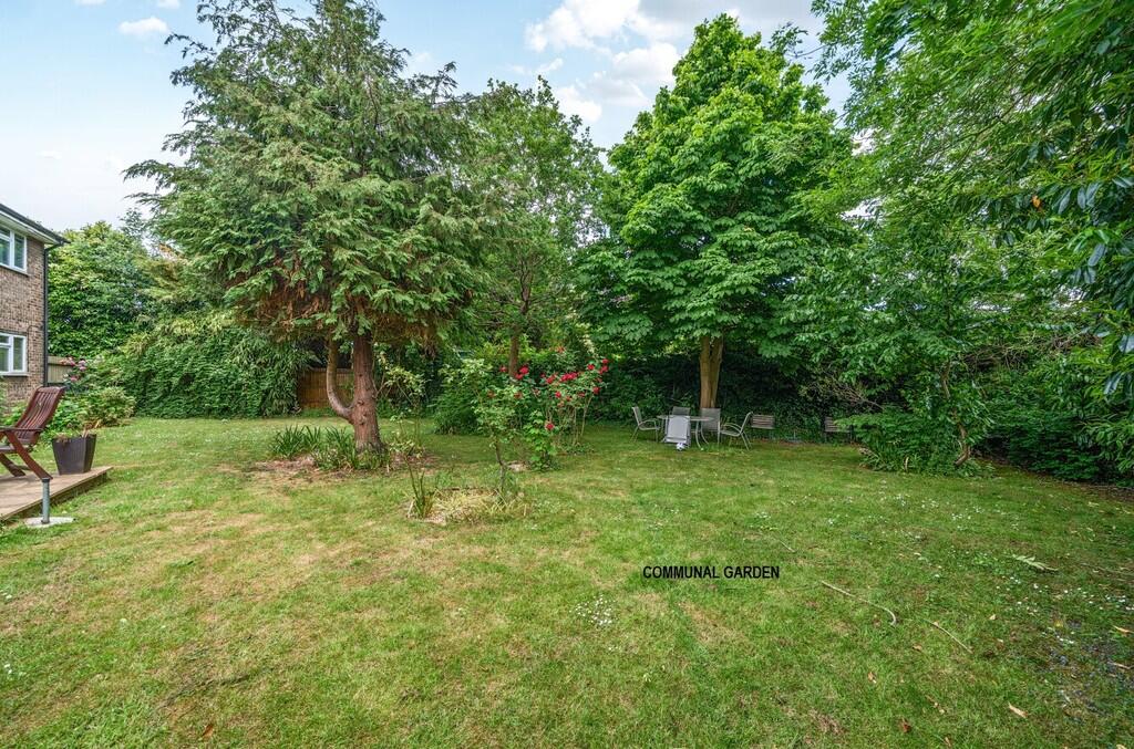 COMMUNAL GARDEN2