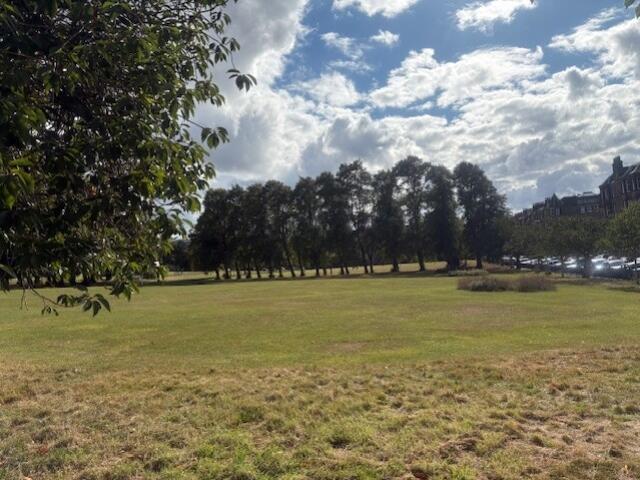 HarrisonPark_BlueSky