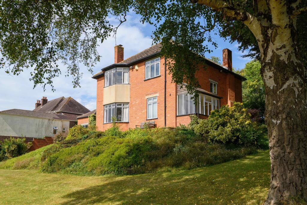 TEK HiRes 240827 035.jpeg